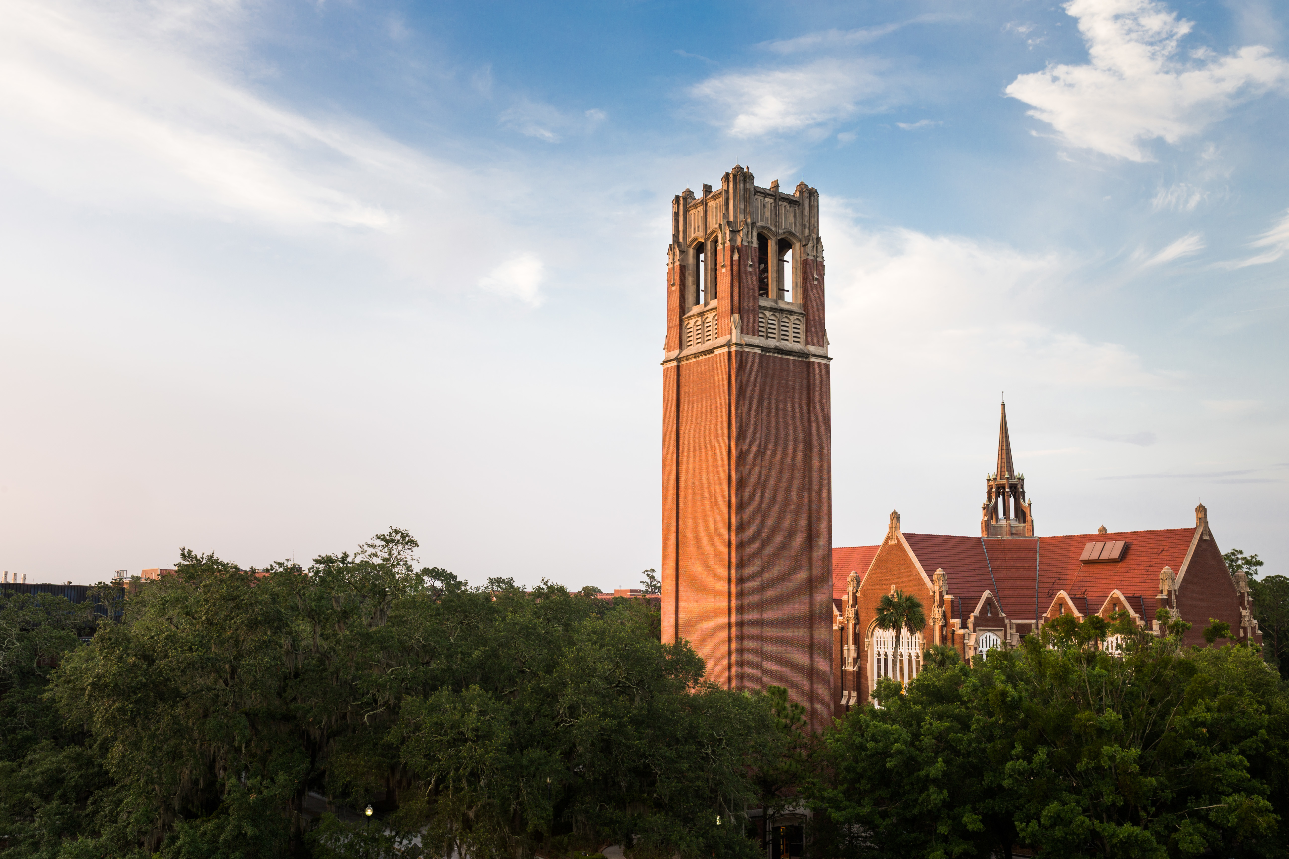 University of Florida